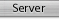 Server